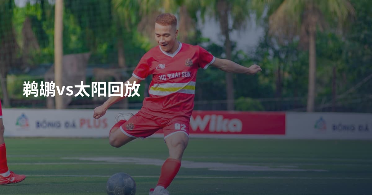 鹈鹕vs太阳回放