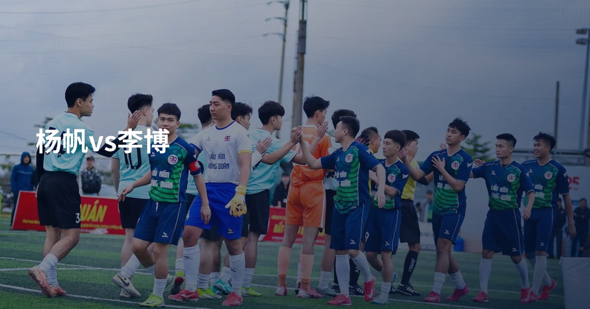 杨帆vs李博