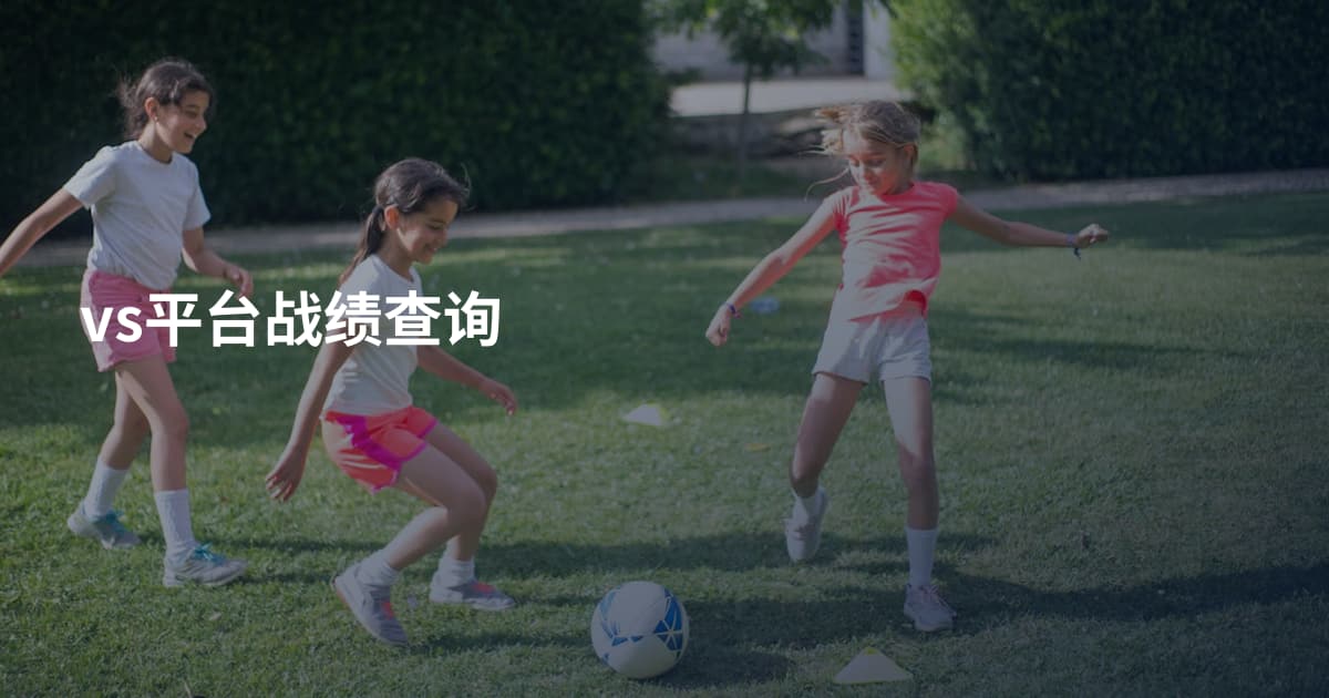 vs平台战绩查询