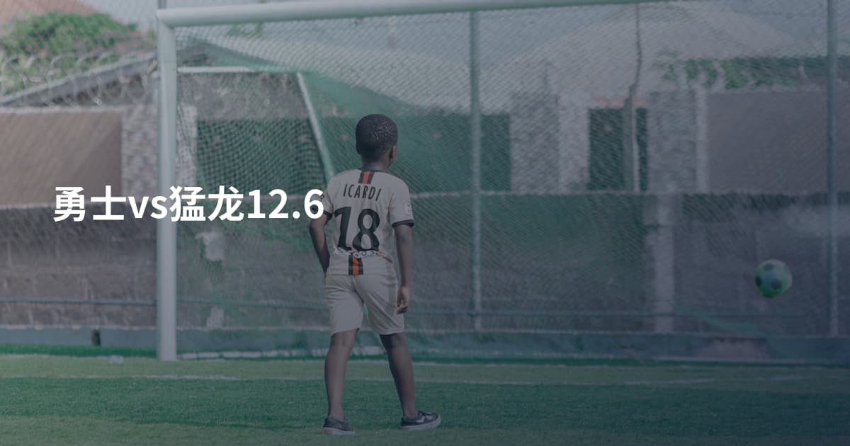 勇士vs猛龙12.6