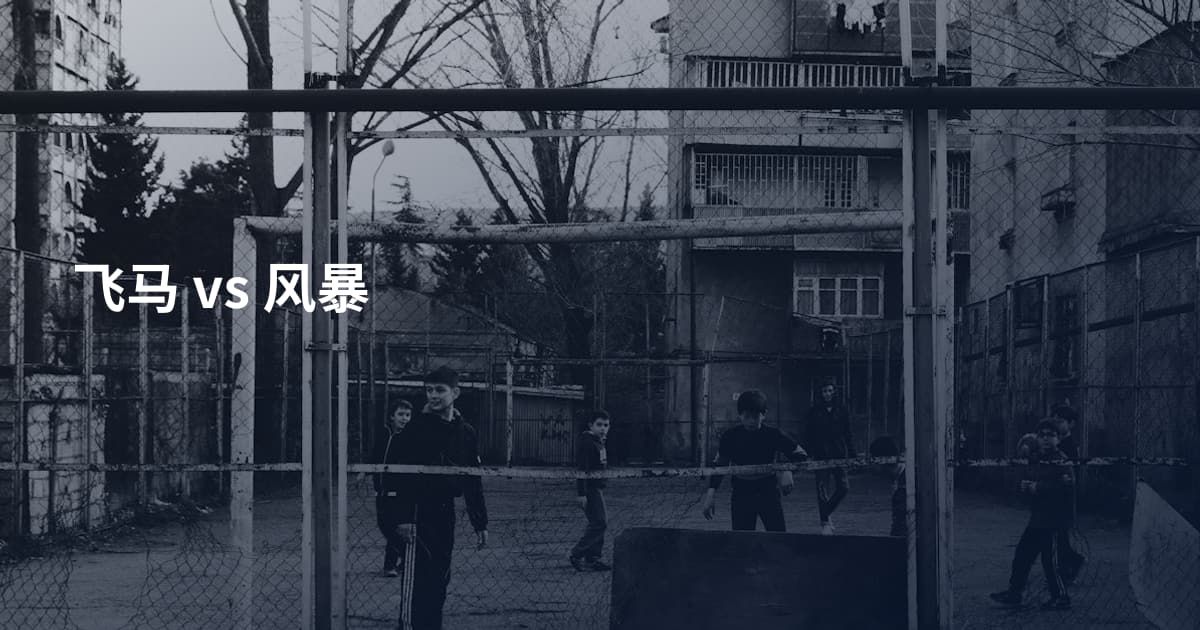 飞马 vs 风暴
