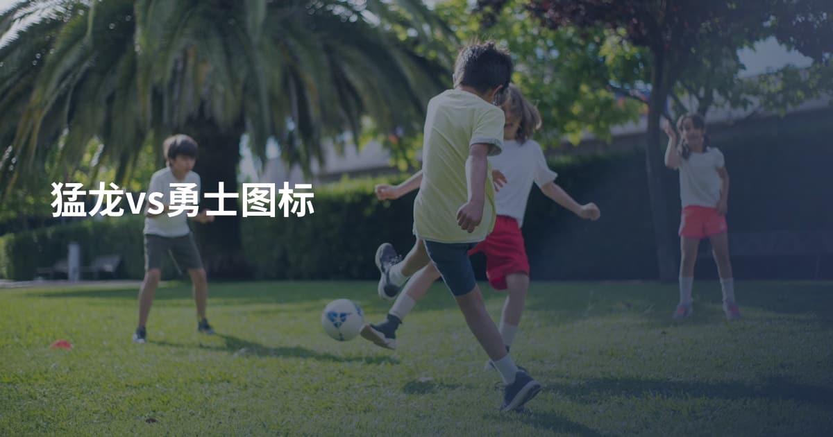 猛龙vs勇士图标