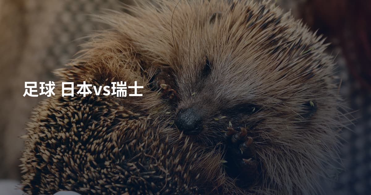 足球 日本vs瑞士