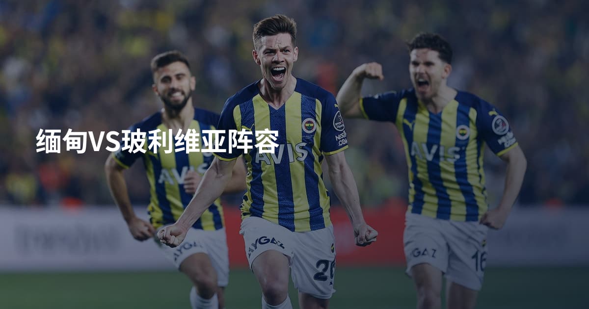 缅甸VS玻利维亚阵容