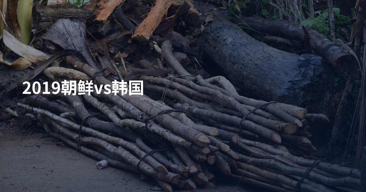 2019朝鲜vs韩国