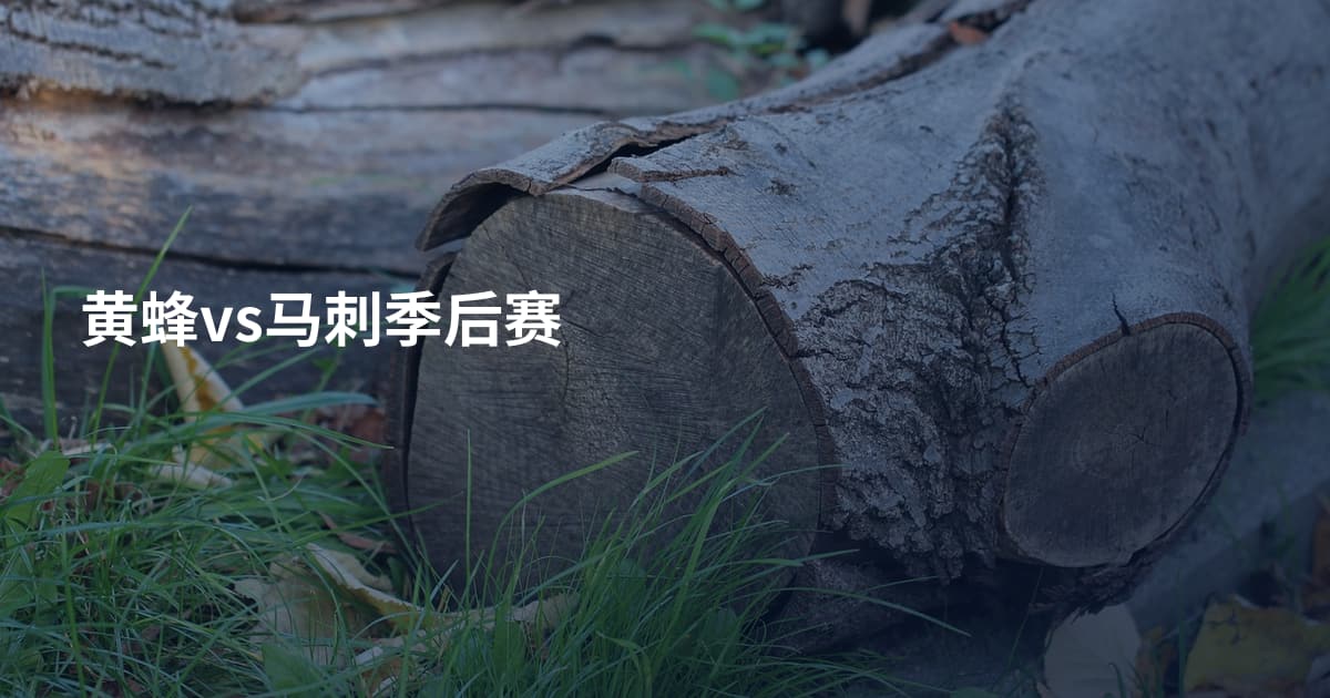 黄蜂vs马刺季后赛