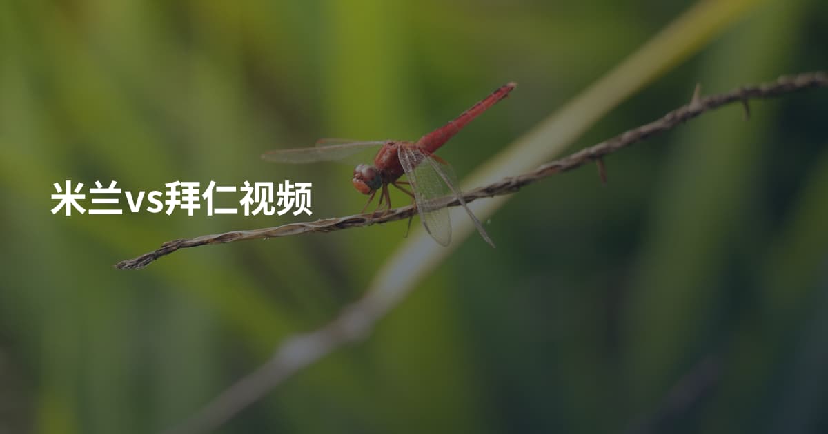 米兰vs拜仁视频