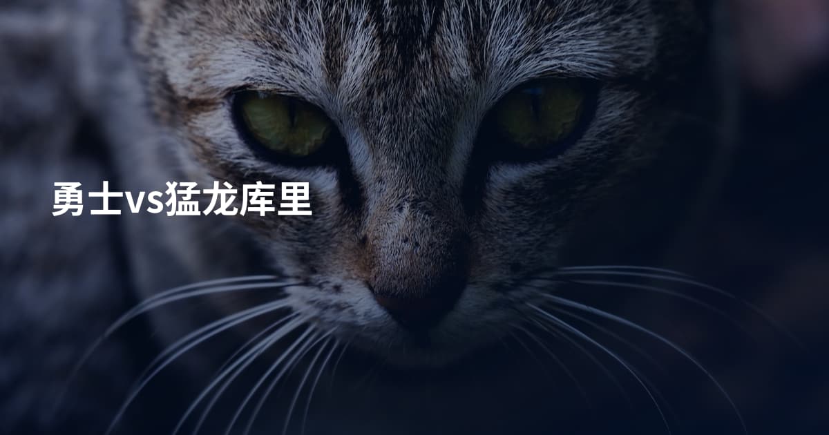 勇士vs猛龙库里