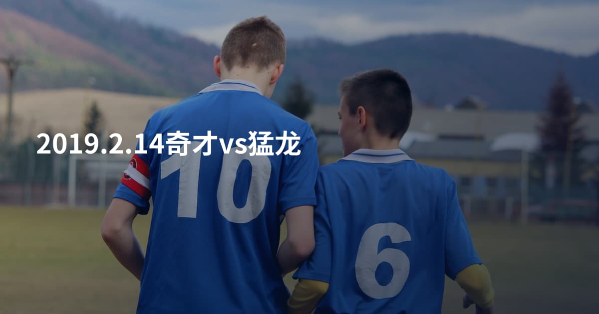 2019.2.14奇才vs猛龙