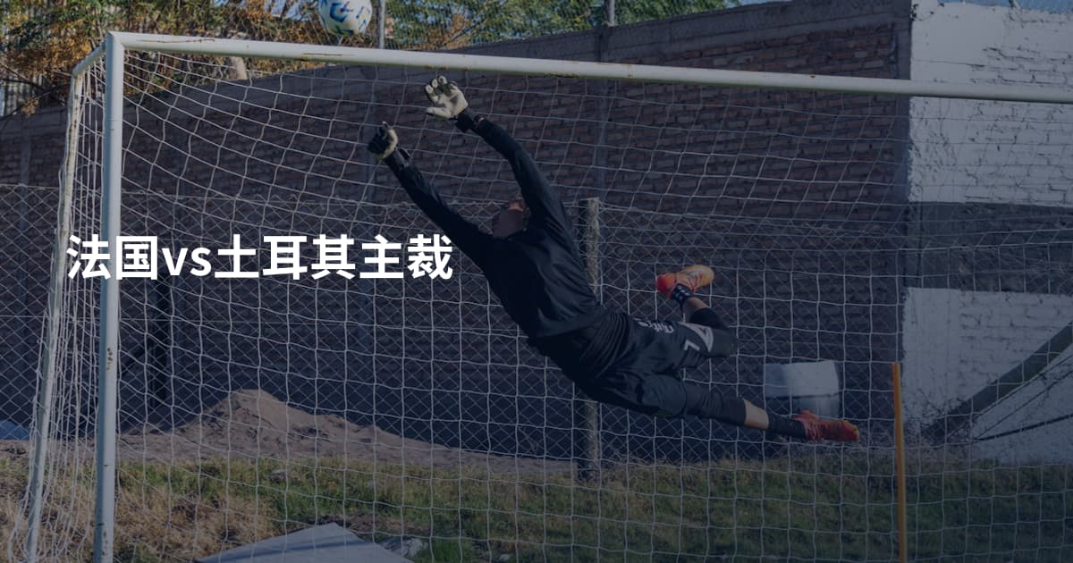 法国vs土耳其主裁