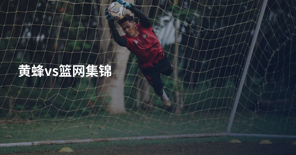 黄蜂vs篮网集锦