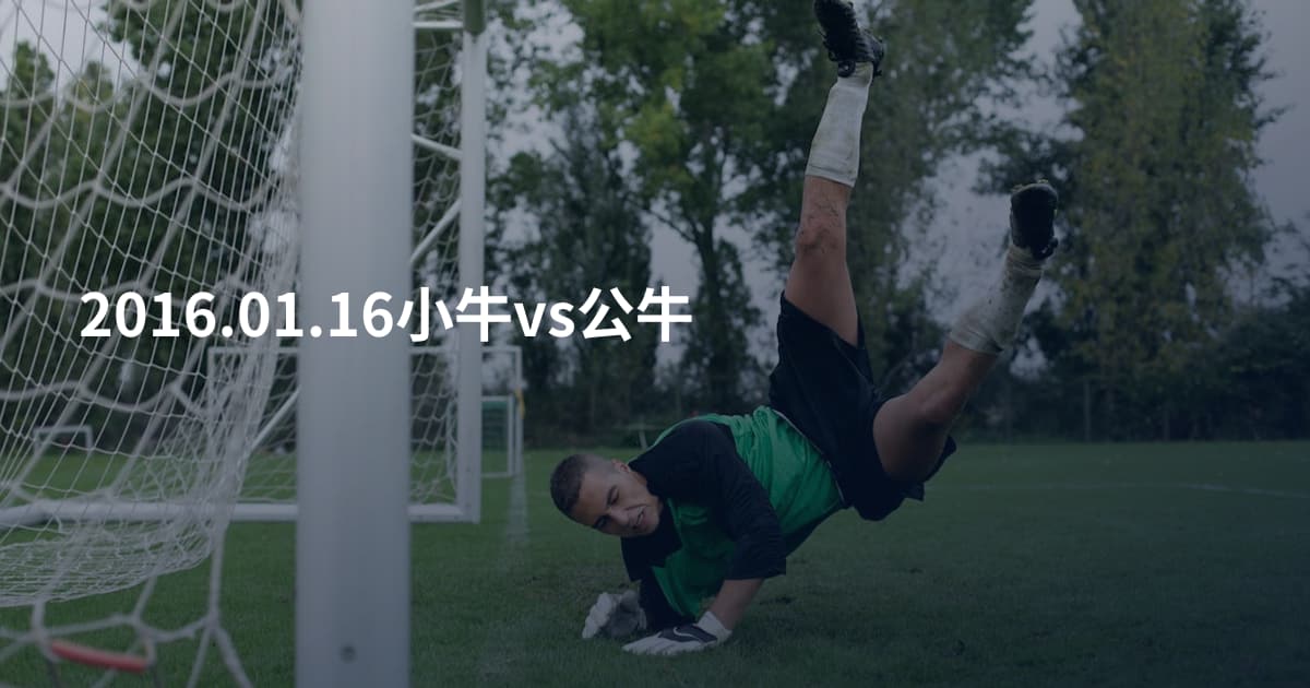 2016.01.16小牛vs公牛