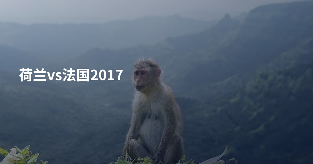 荷兰vs法国2017