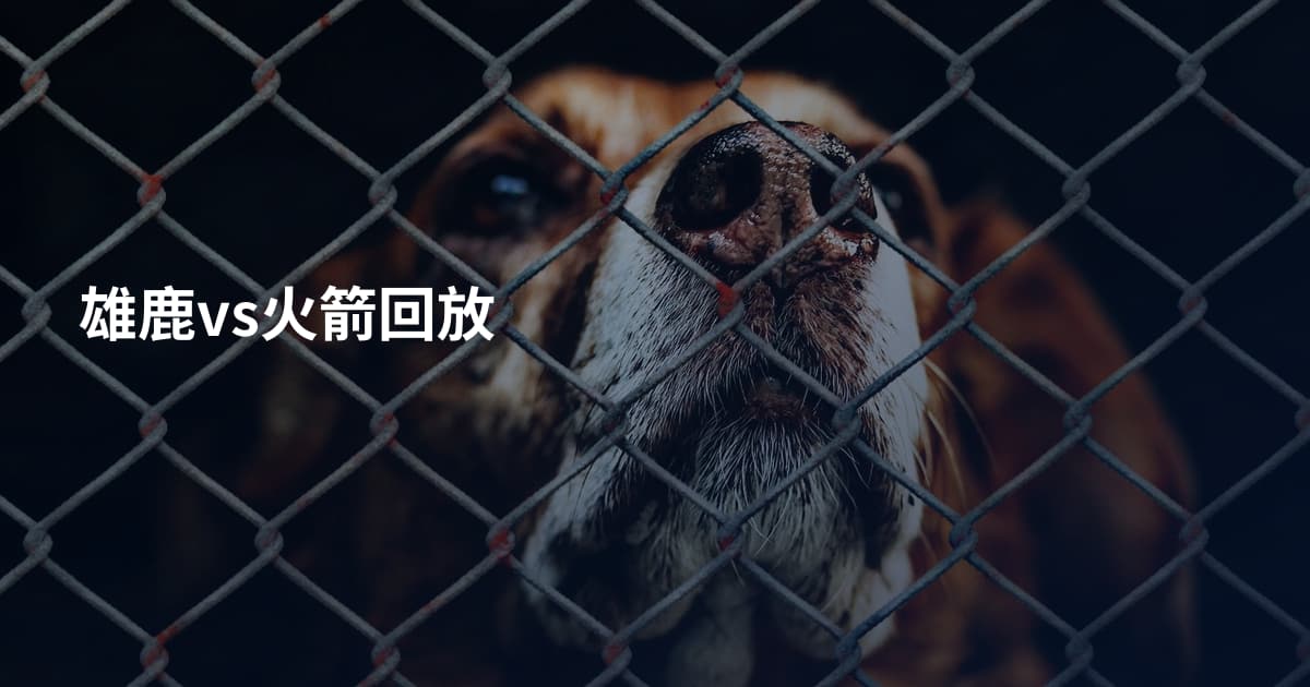 雄鹿vs火箭回放