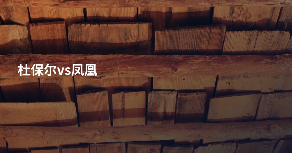 杜保尔vs凤凰