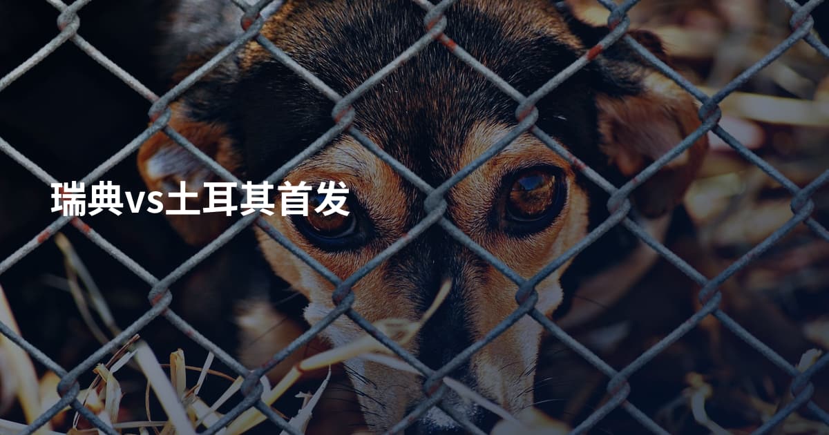瑞典vs土耳其首发