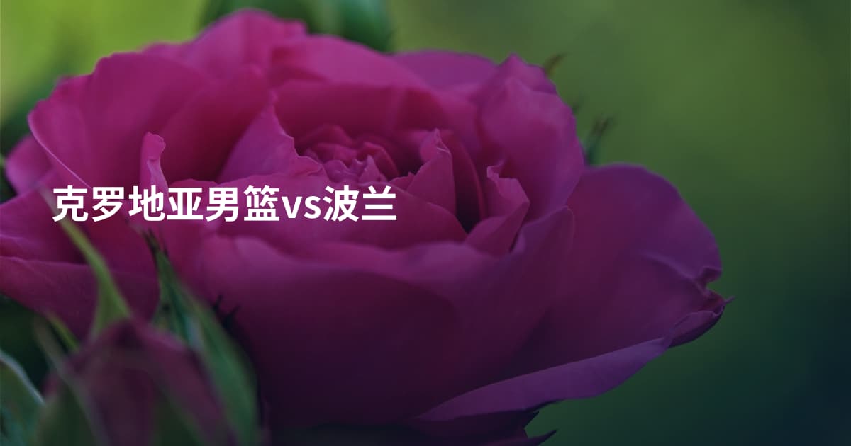 克罗地亚男篮vs波兰