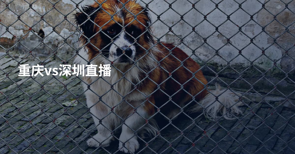 重庆vs深圳直播