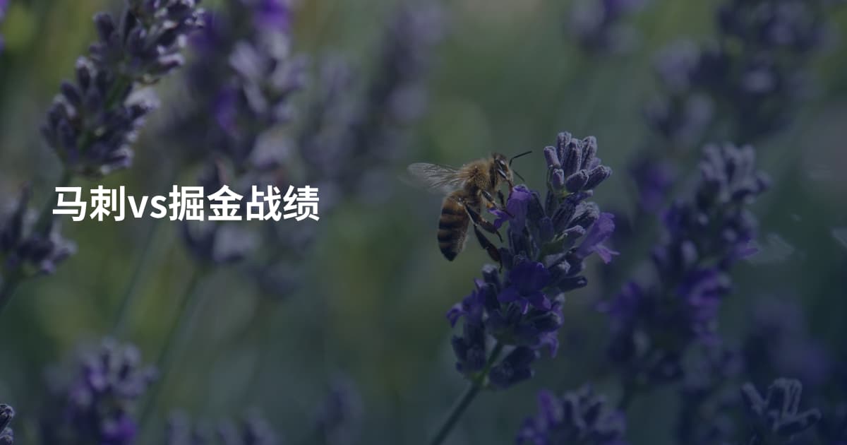马刺vs掘金战绩