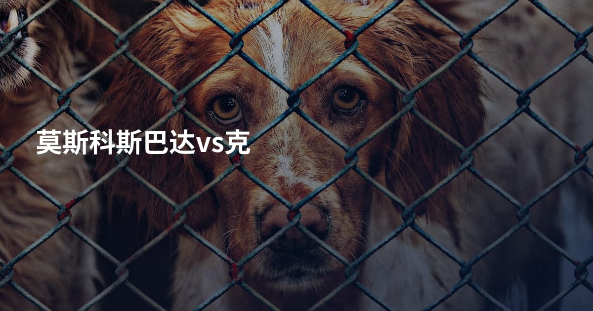 莫斯科斯巴达vs克
