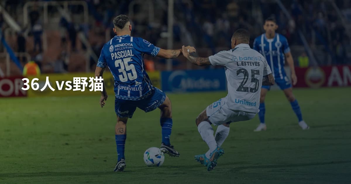 36人vs野猫