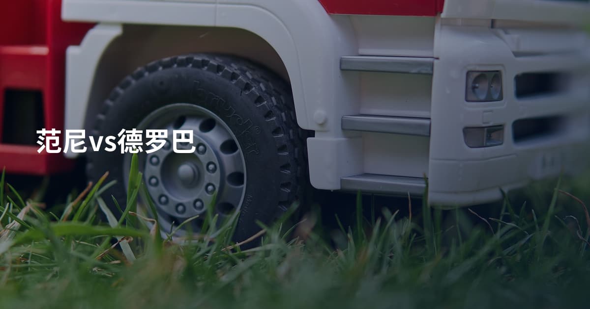 范尼vs德罗巴