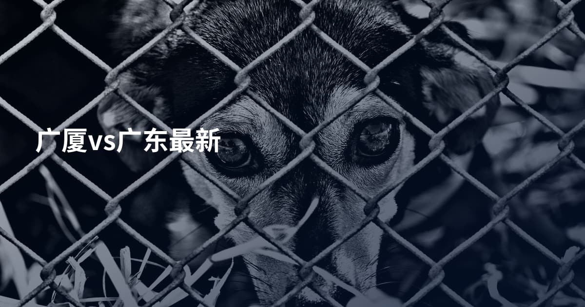 广厦vs广东最新