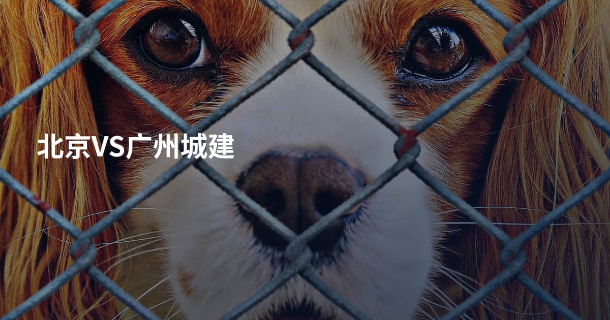 北京VS广州城建