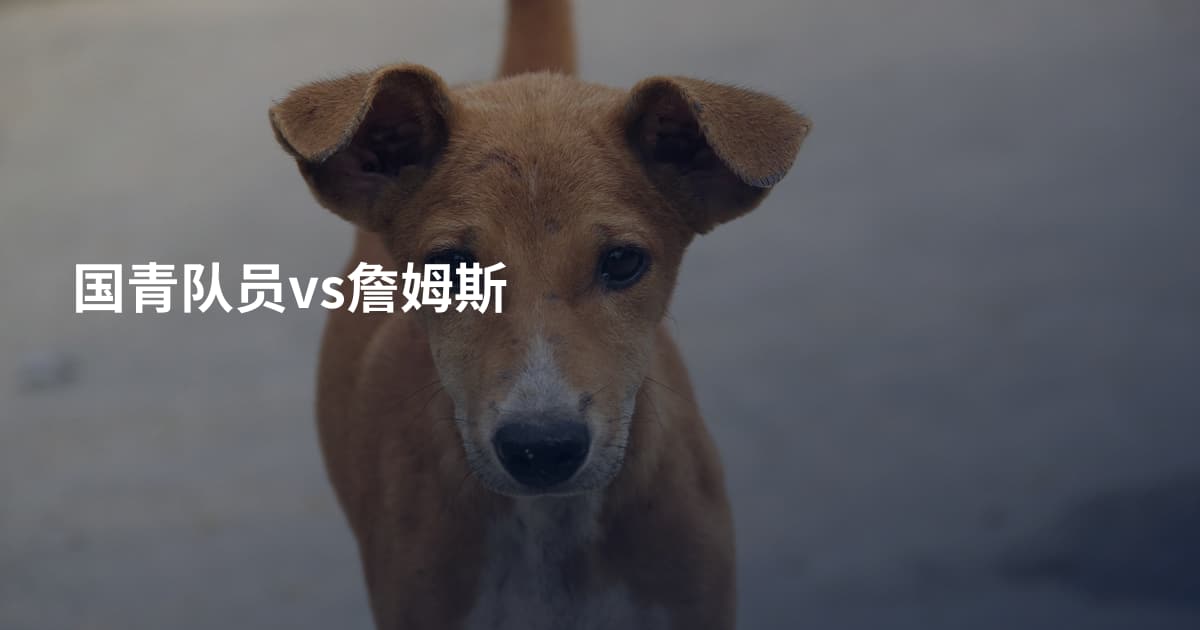 国青队员vs詹姆斯