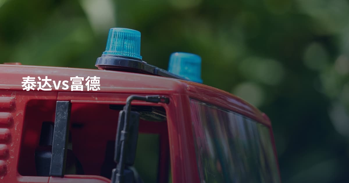 泰达vs富德