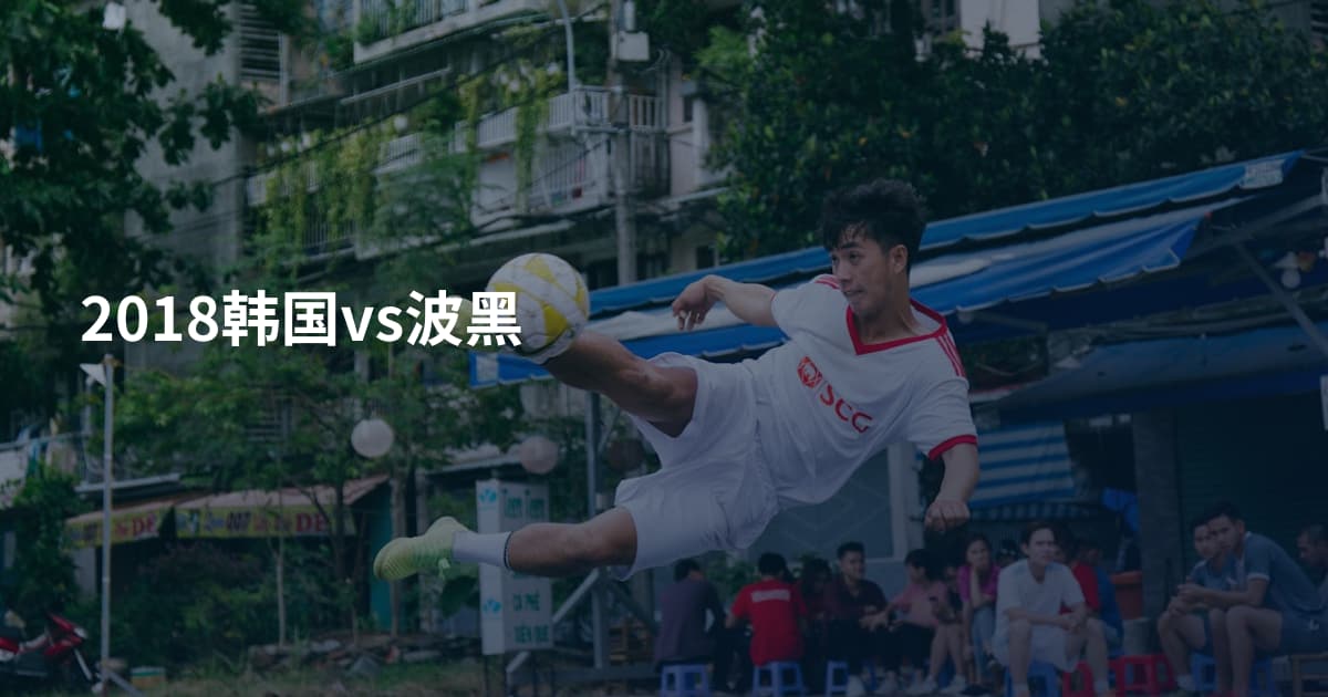 2018韩国vs波黑