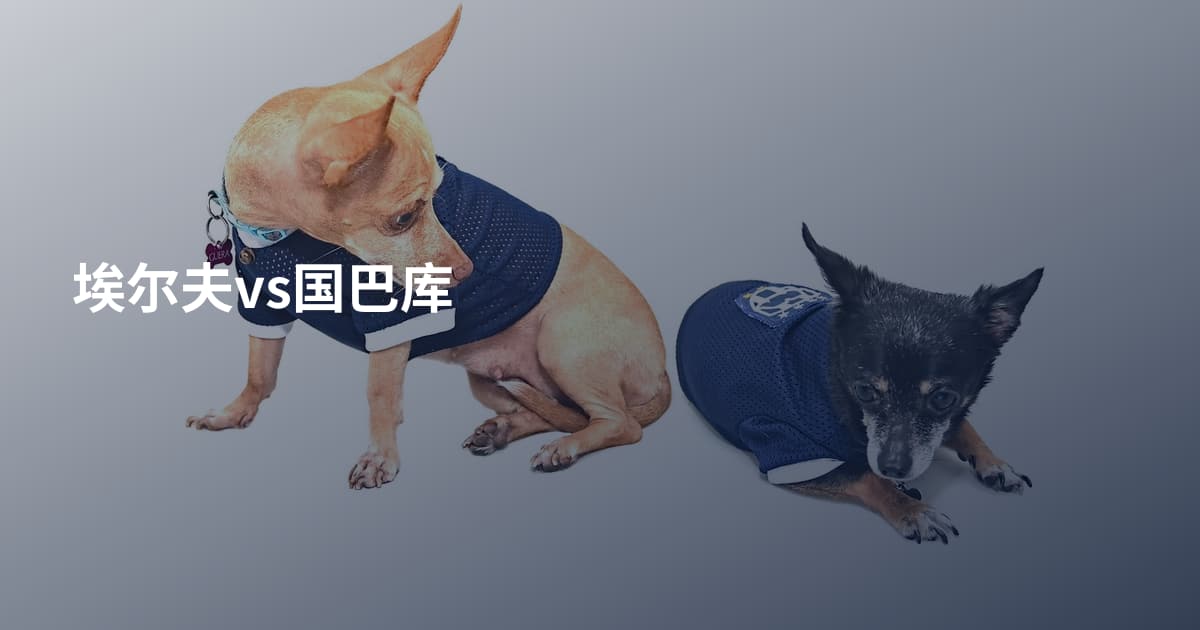 埃尔夫vs国巴库