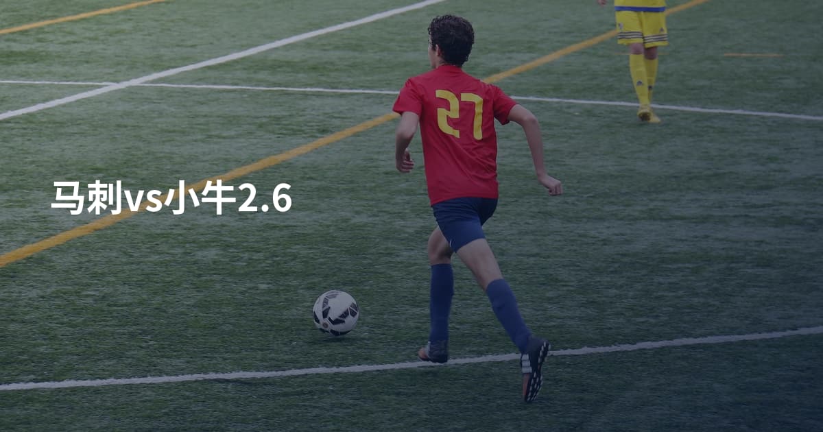 马刺vs小牛2.6