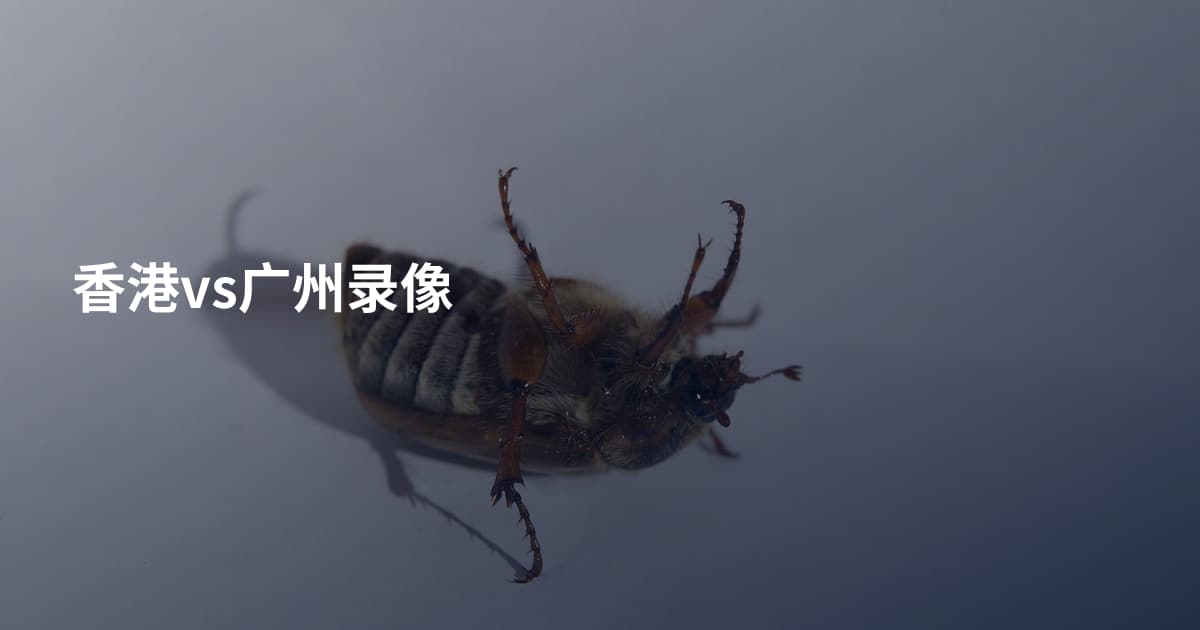 香港vs广州录像