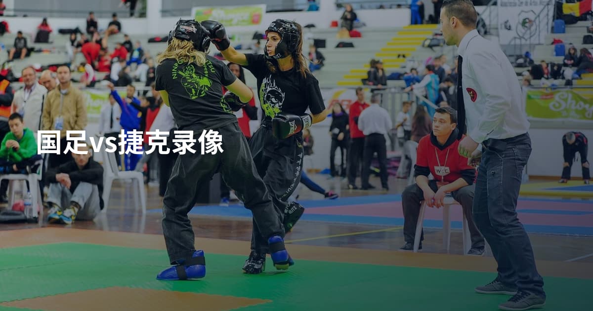 国足vs捷克录像