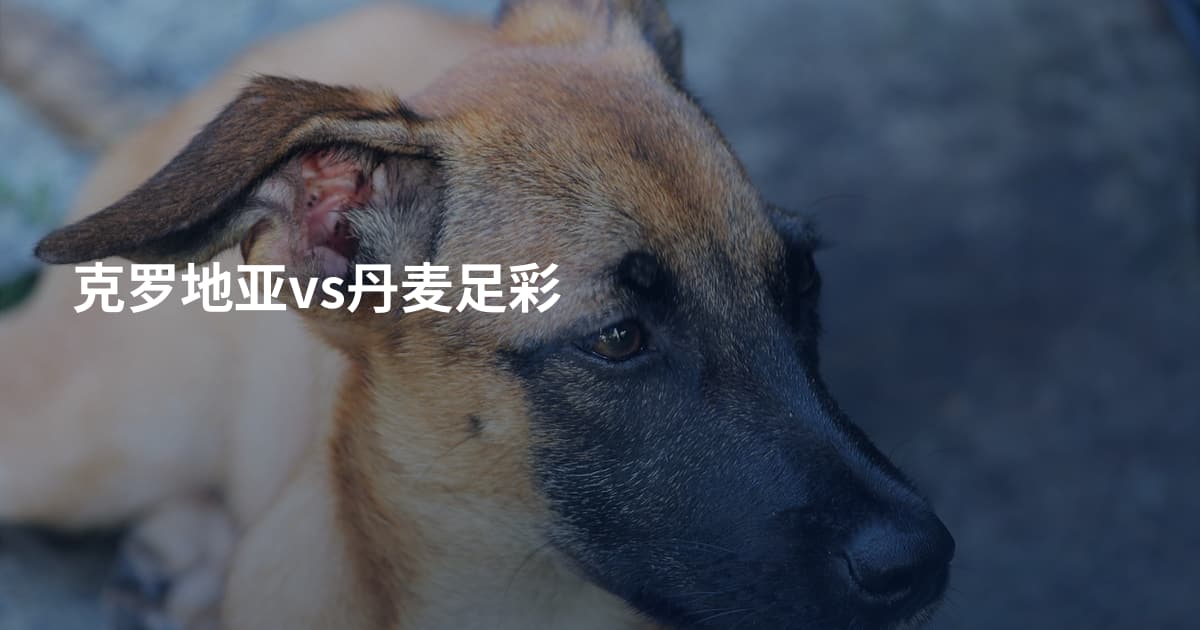 克罗地亚vs丹麦足彩
