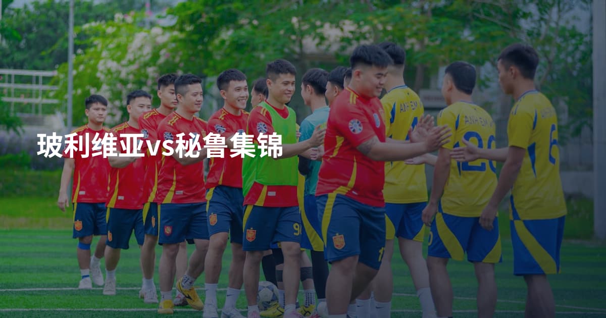 玻利维亚vs秘鲁集锦