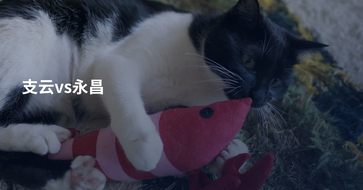 支云vs永昌