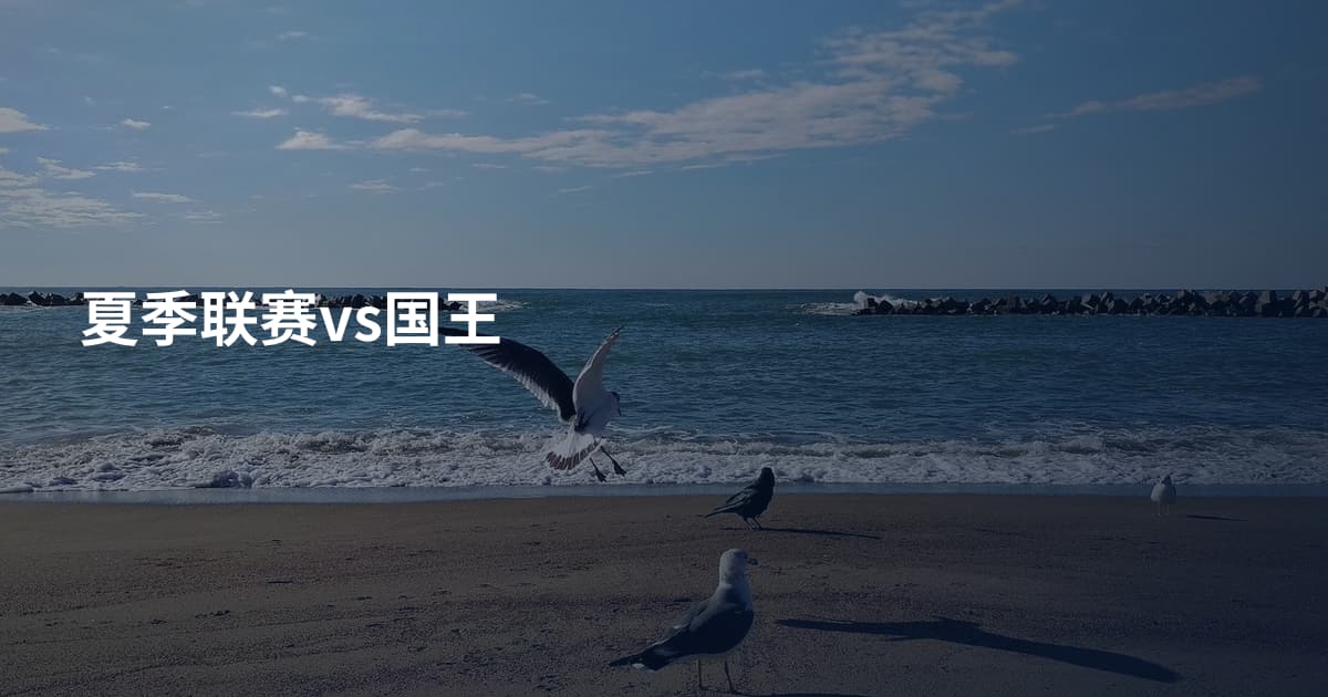 夏季联赛vs国王