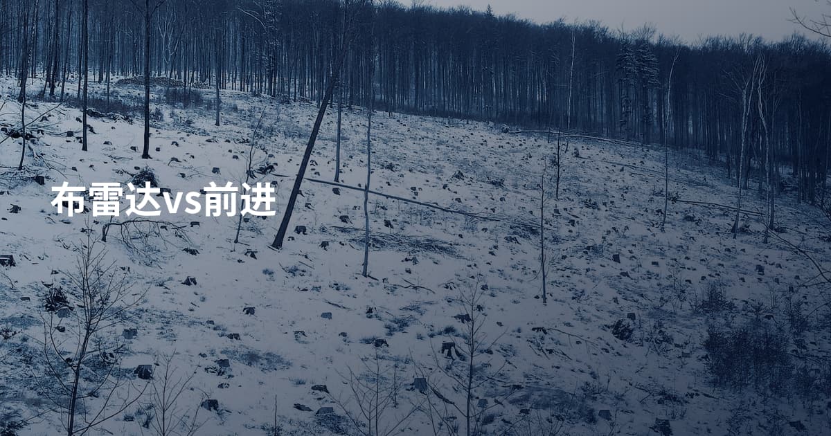 布雷达vs前进