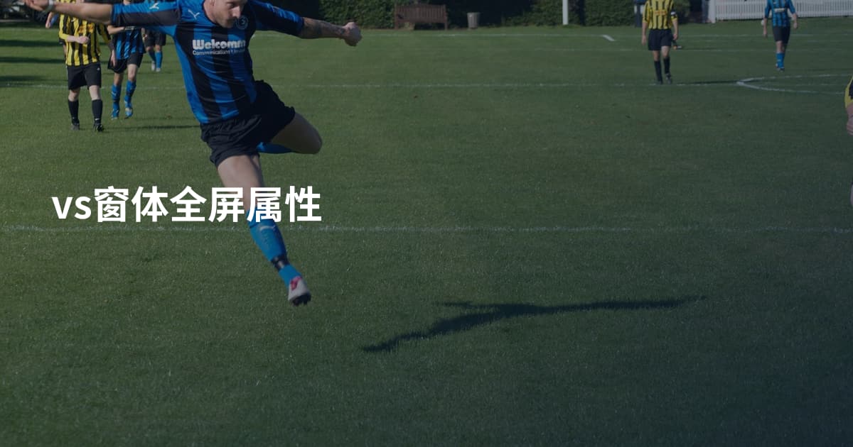 vs窗体全屏属性