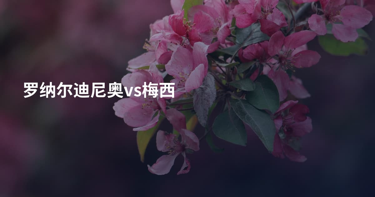 罗纳尔迪尼奥vs梅西