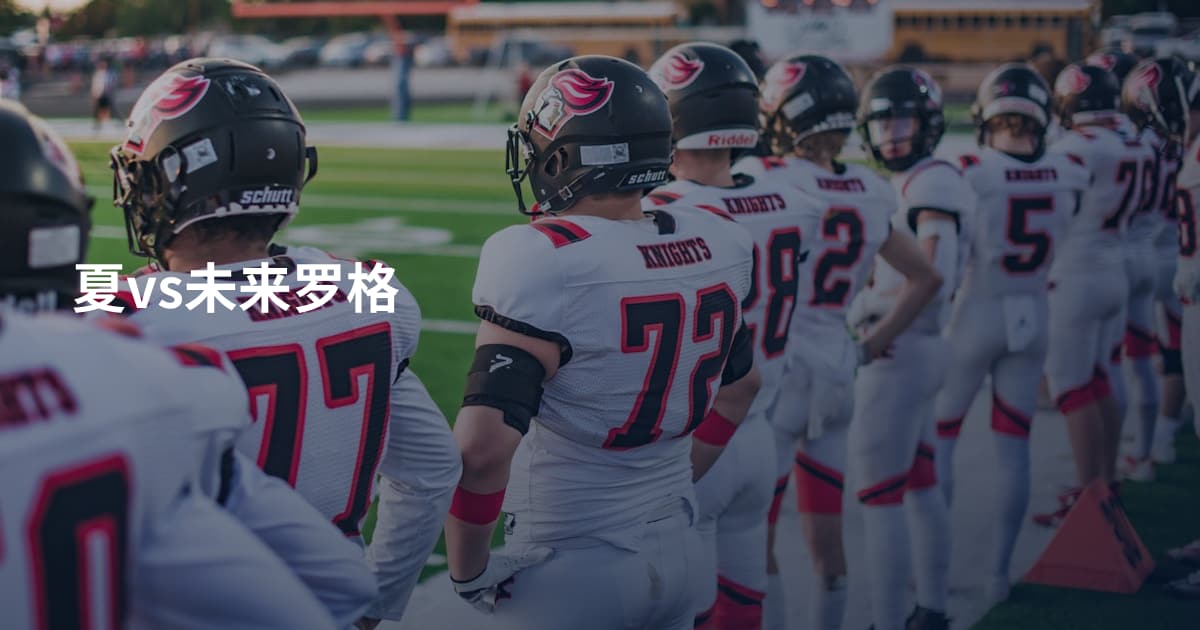 夏vs未来罗格