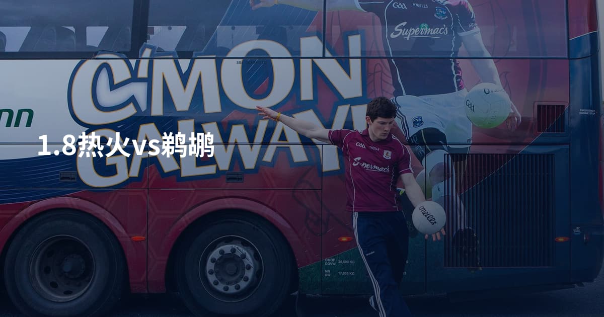 1.8热火vs鹈鹕