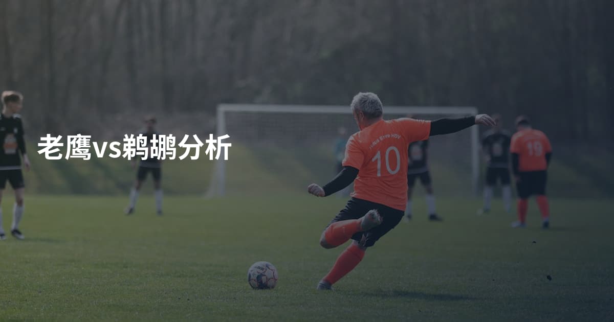 老鹰vs鹈鹕分析