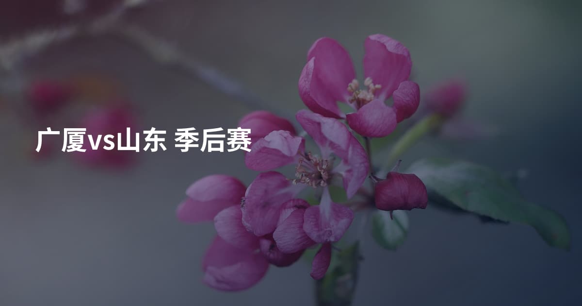 广厦vs山东 季后赛