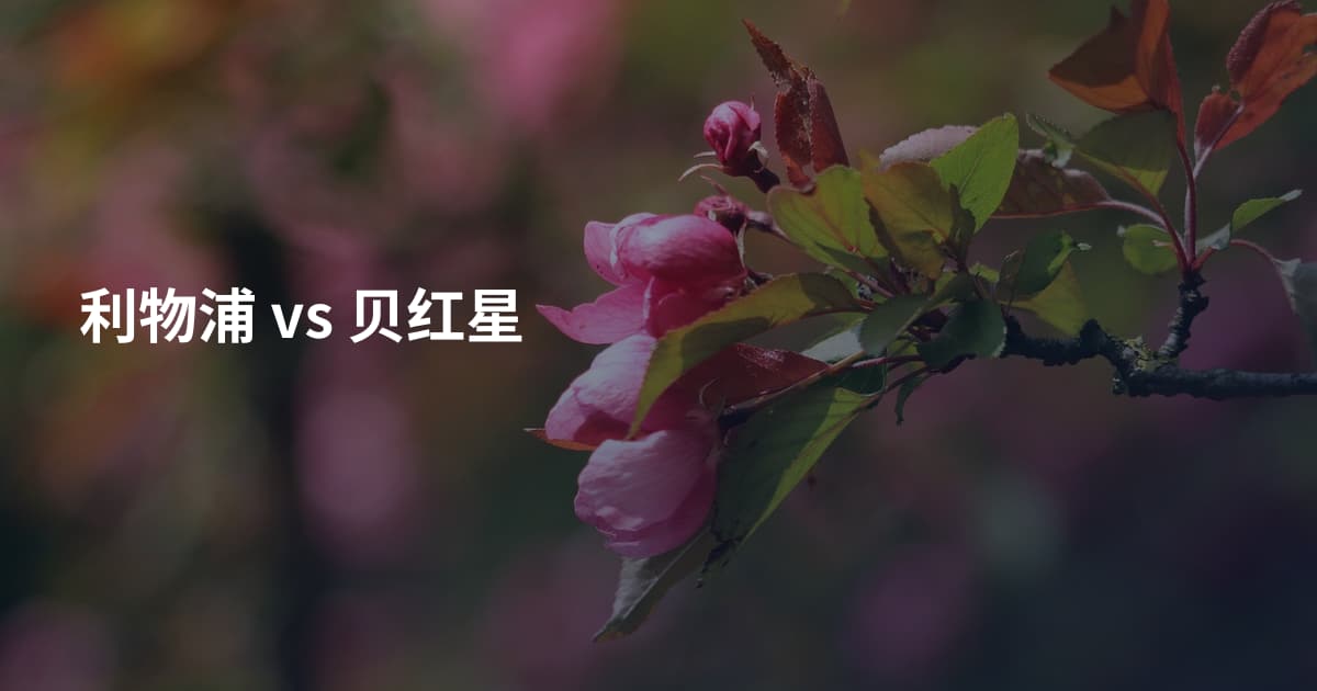 利物浦 vs 贝红星
