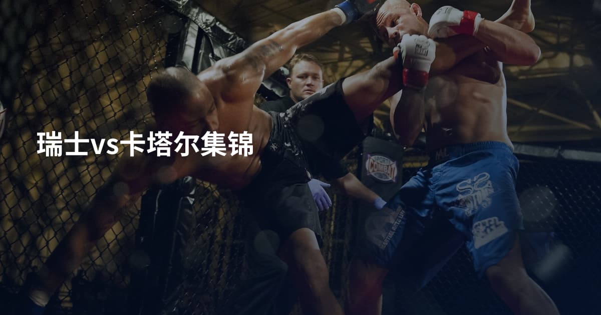 瑞士vs卡塔尔集锦