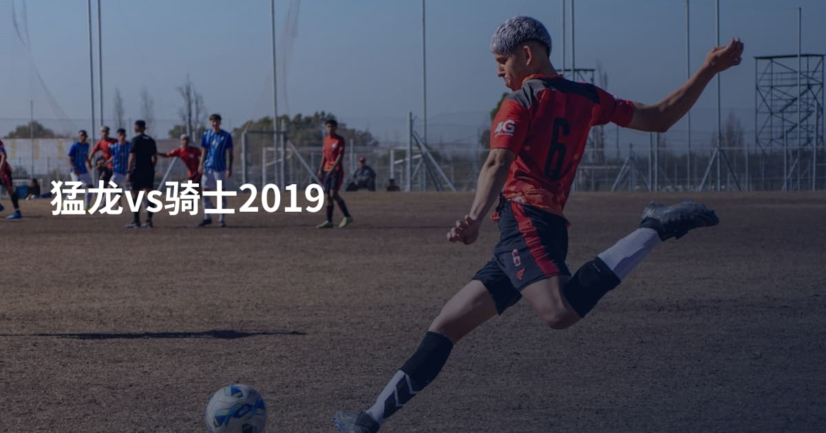 猛龙vs骑士2019