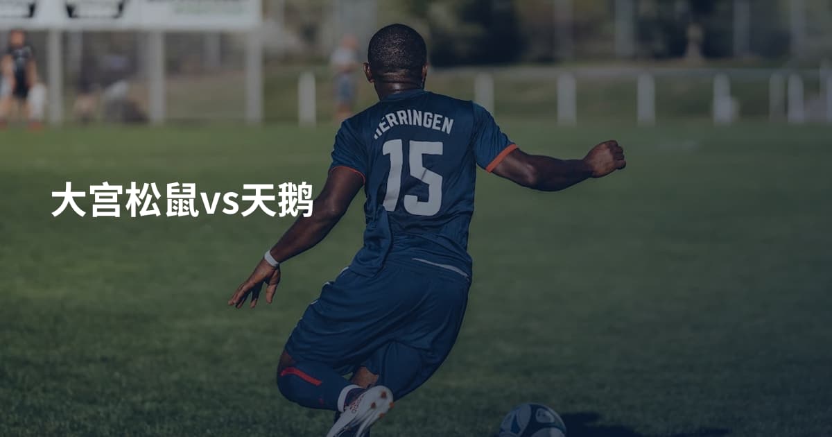 大宫松鼠vs天鹅